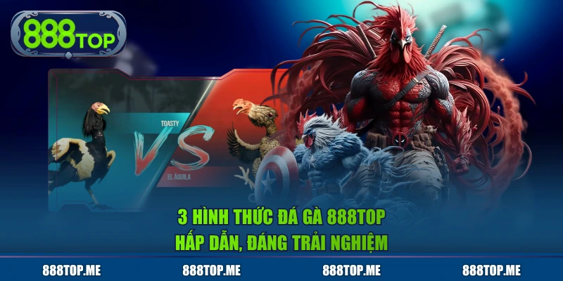 3 hình thức Đá Gà 888TOP hấp dẫn, đáng trải nghiệm
