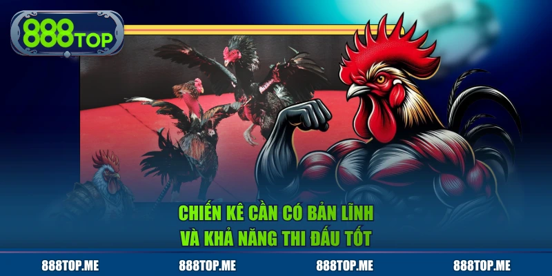 Chiến kê cần có bản lĩnh và khả năng thi đấu tốt