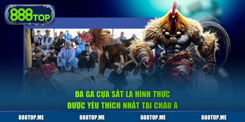 Đá gà cựa sắt là hình thức được yêu thích nhất tại Châu Á