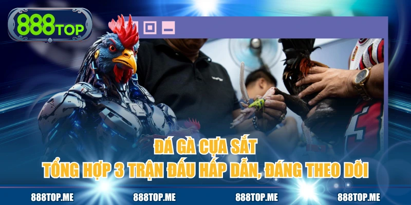 Đá Gà Cựa Sắt