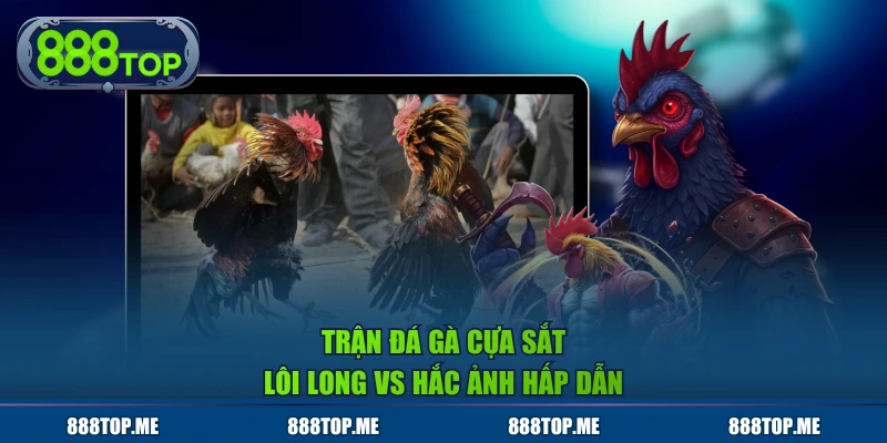 Trận đá gà cựa sắt Lôi Long vs Hắc Ảnh hấp dẫn