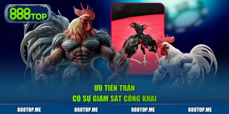 Ưu tiên trận có sự giám sát công khai